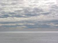 Финский залив. Комарово. (50,2 K)
