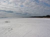 Финский залив. Комарово. (61,7 K)